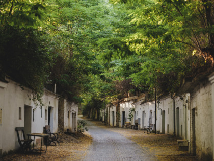 Kellergasse Radyweg