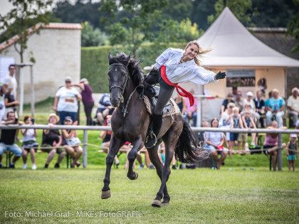 Pferdefest auf Schloss Hof