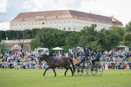 Pferdefest auf Schloss Hof