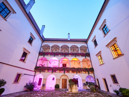 Schloss Drösiedl