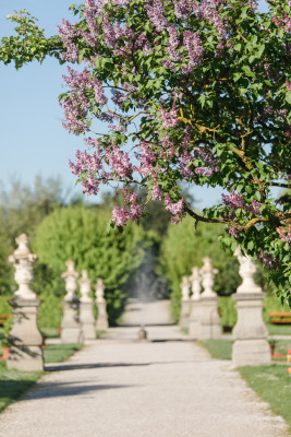 Hofgarten Frühling