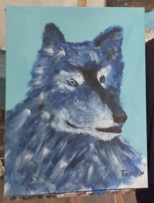 Wolf