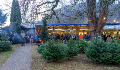 Im Langegger Hof findet ein Adventmarkt mit lokalen Produkten und Christbaumverkauf (Mondphasenschni