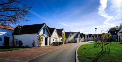 Weingut Dürnberg/Kellergasse Falkenstein