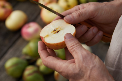 Alte Obstsorten wieder entdecken