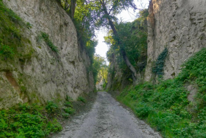 Lössweg Wagram ob der Traisen