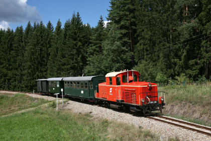 Wackelstein-Express