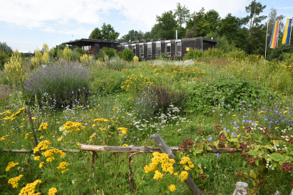 Kräutergarten beim Nationalparkhaus