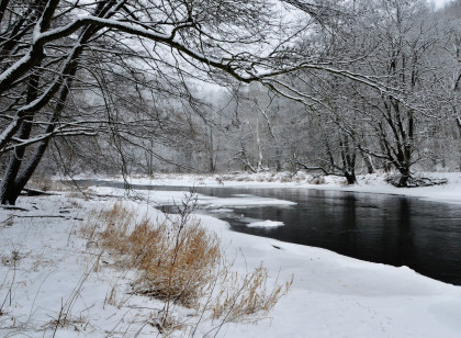 Winterwanderung zum Umlaufberg