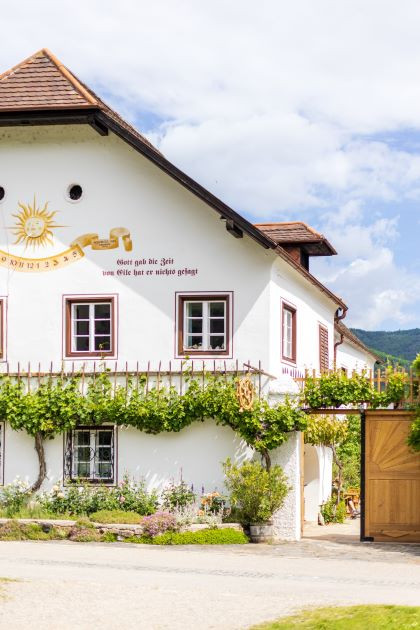 Weinhauer Brustbauer