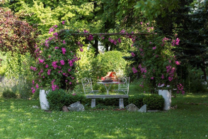 Rosenbauchs Garten