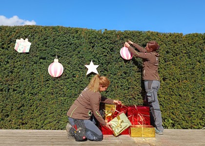 Das Weihnachtserlebnis entsteht