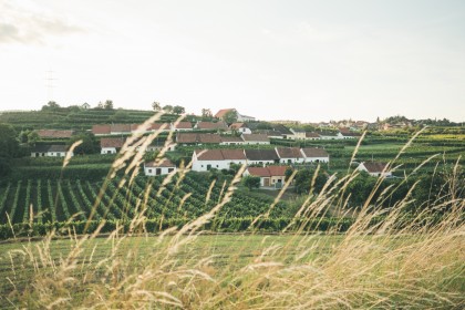 Die Kellergasse in Mittelberg