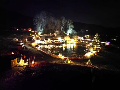 Blick am Teich