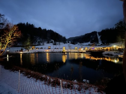Blick am Teich