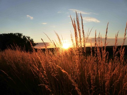 Sonnenuntergang 