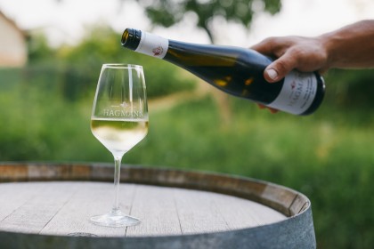 Beim Heurigen Fam. Stefan Hagmann Grünen Veltliner genießen