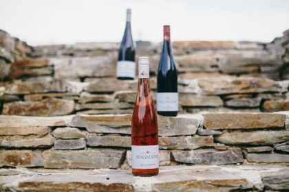 Wein vom Weingut Fam. Stefan Hagmann, Hof zu Priel