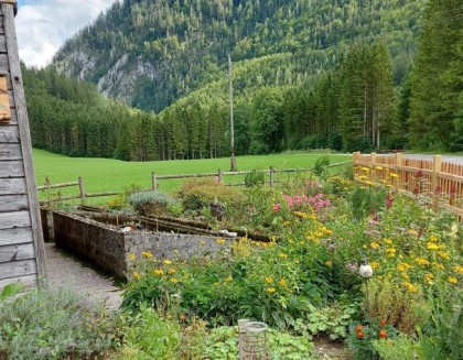 Kräutergarten Kanlehen