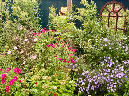 Herbstblüte