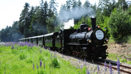 Dampflok der Waldviertelbahn