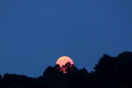 Vollmond