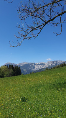 Raxblick