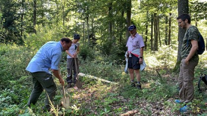 Wald der Zukunft Führung im Wienerwald