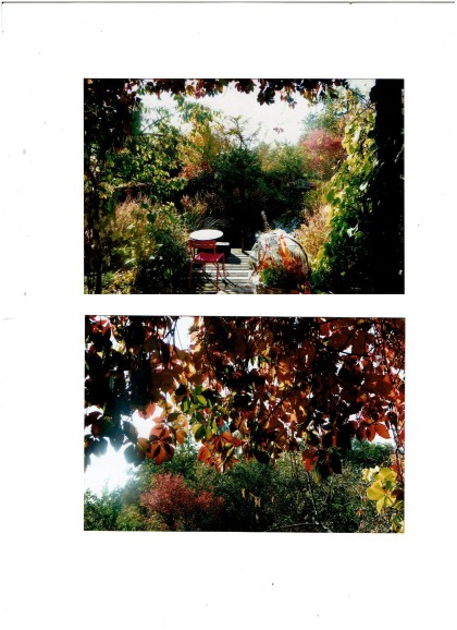 Herbst im Dornröschen-Garten