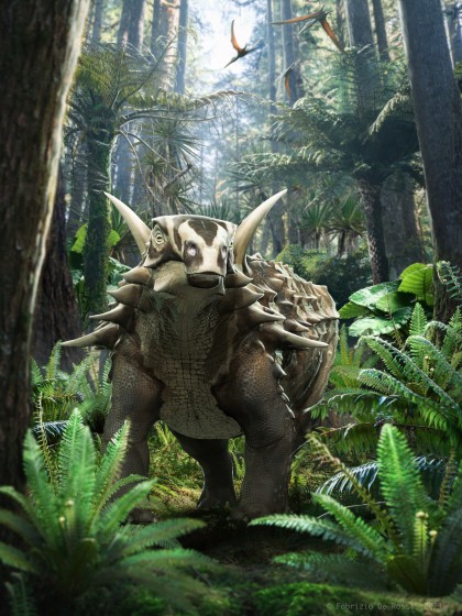 Struthiosaurus austriacus Image