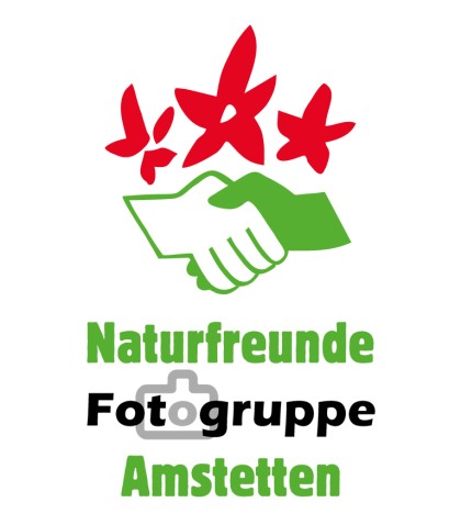 Fotobegeisterte in Amstetten