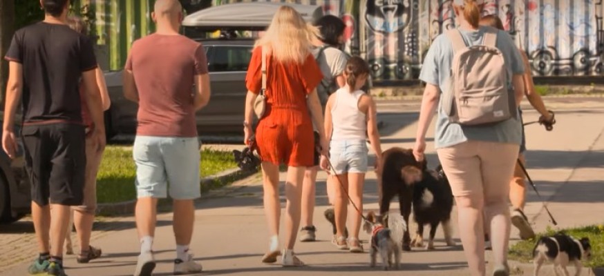 Social Walk - Spazieren in der Gruppe