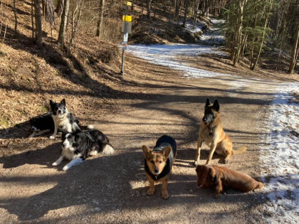 Mit Hund im Naturpark 