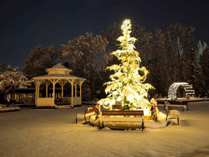 Weihnachten im Stadtpark