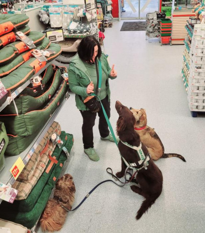Hundetrainerin Alex Sieber mit einer Gruppe Hunden im Fressnapf