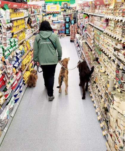 Hundetrainerin Alex Sieber mit einer Gruppe Hunden im Fressnapf