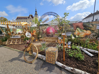 Zwiebelfest 2025