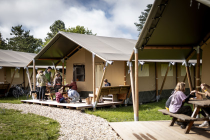 Nationalparkcamp Eckartsau 