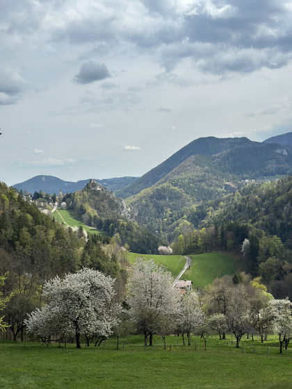 Ausblick auf Klamm 