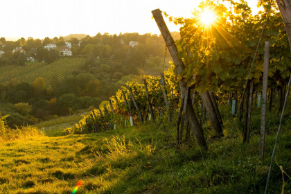 Naturspaziergang