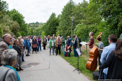 Das war der Art Walk Wienerwaldsee 2025