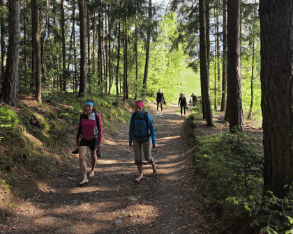 Natur und Bewegung