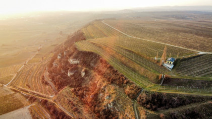 Das Wein-Hütterl am Rohrendorfer Weinberg.