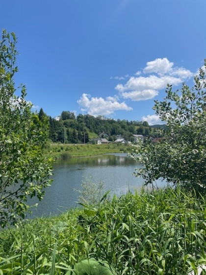 Stausee Wienerbruck