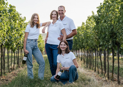 Weingarten BIO Weingut Scheiner