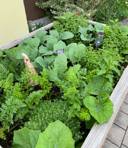 Garten Hochbeet