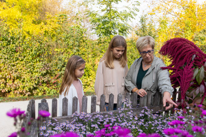 Prächtige Vorgärten im Herbst