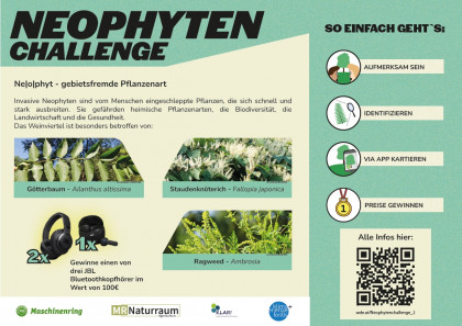 Neophyten Challenge Weinviertel 2026