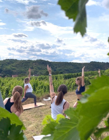 „Vino und Vinyasa“ im Zöbinger Weingarten.
