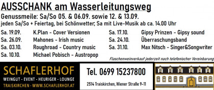 Ausschank im Weingarten